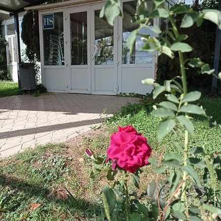 Hostal Brin مونريال ديل كامبو المظهر الخارجي الصورة